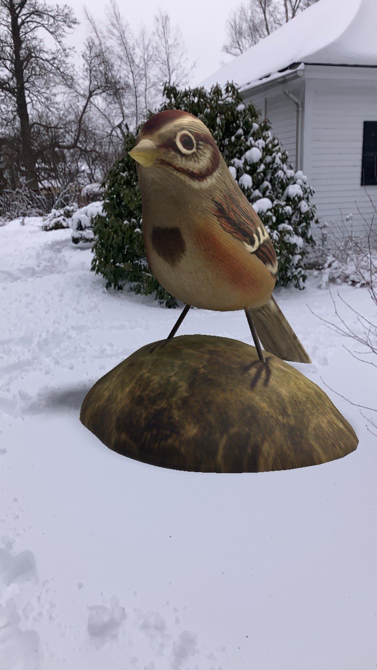 Big bird.jpg
